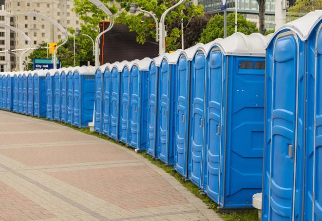 Seasonal porta potty units set up at a Rochester, New York venue